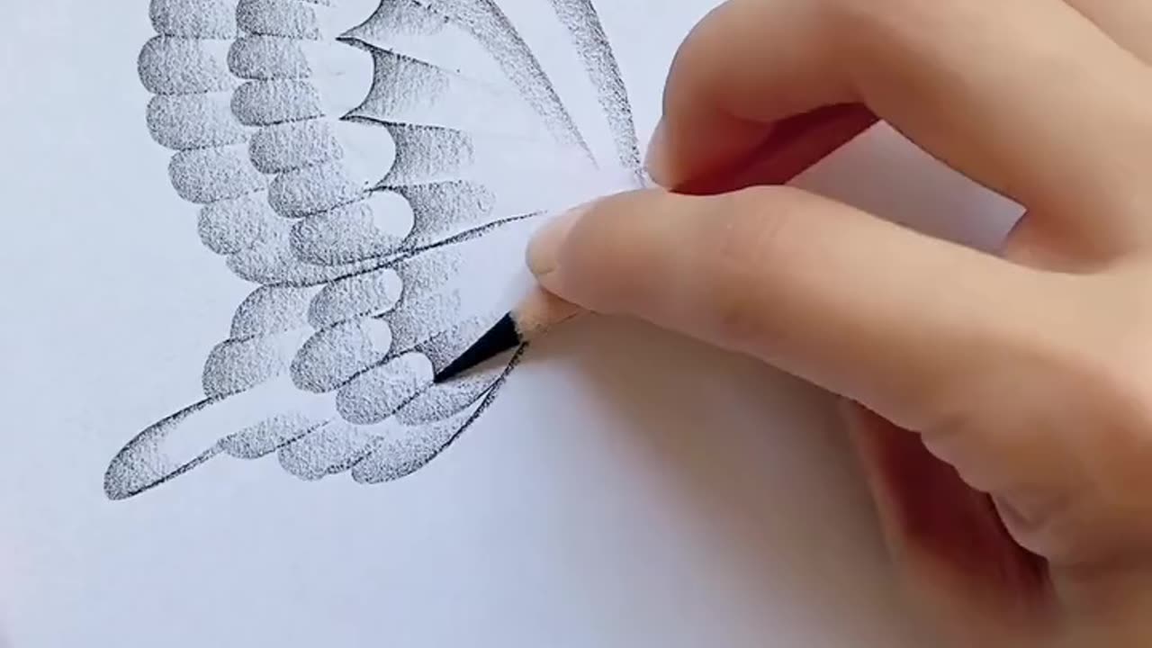 Beautiful Butterfly drawing✏️🦋🌸🤩🤩