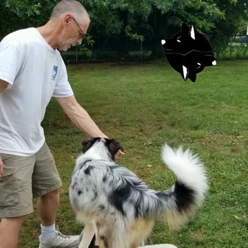 Ruff Cut PodCast: Raised Platform and Balance Beam part 3 cut 2