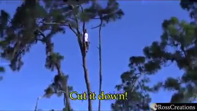 Play Of The Week - A Tree Hugger Goes For A Swim Under Protest