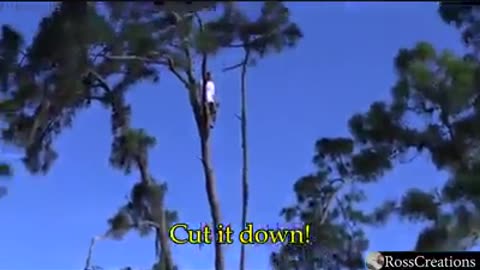 Play Of The Week - A Tree Hugger Goes For A Swim Under Protest