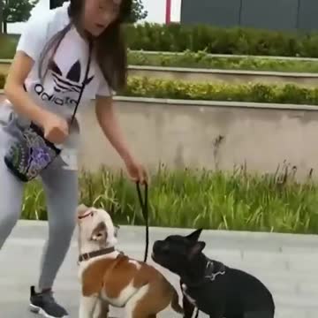 Wait for it.....don’t worry he is absolutely fine