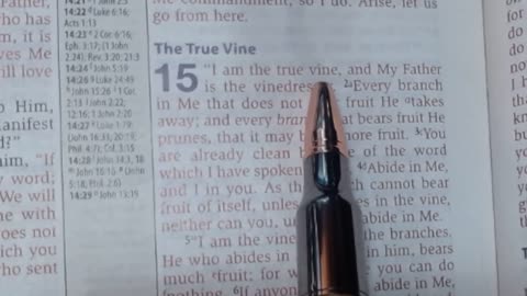 John 15:1-8 (The True Vine)