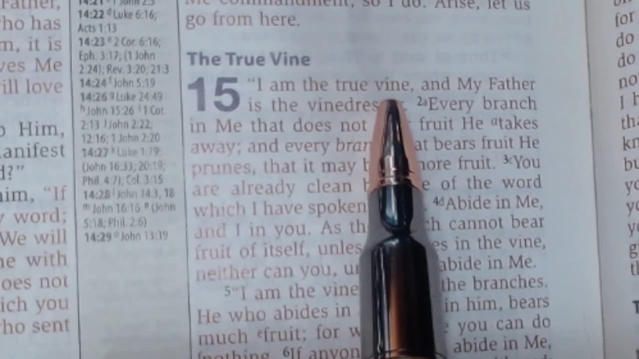 John 15:1-8 (The True Vine)