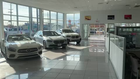 New York car show by Jack the Irish wolfhound