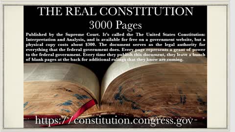 The Real Constitution