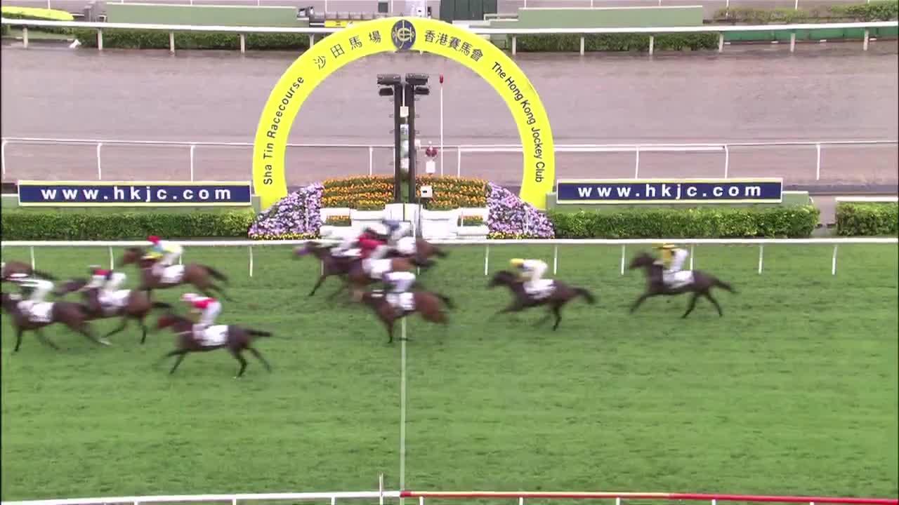 Horce_Race_2022050106_Chinese