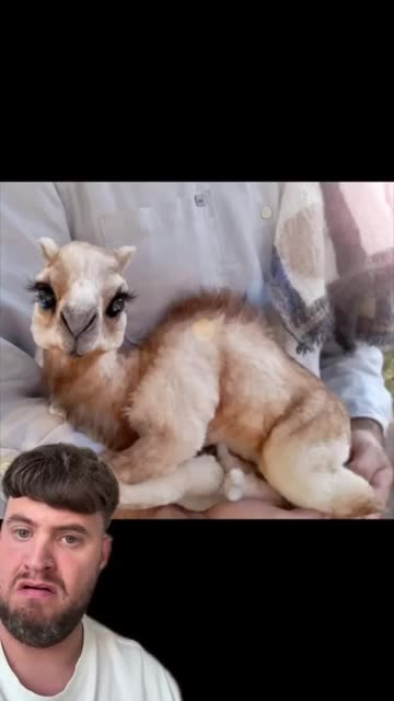 they didnt actually scary