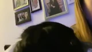Doggo tries to steal crisps