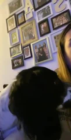 Doggo tries to steal crisps