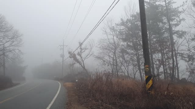 a foggy road