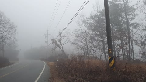 a foggy road