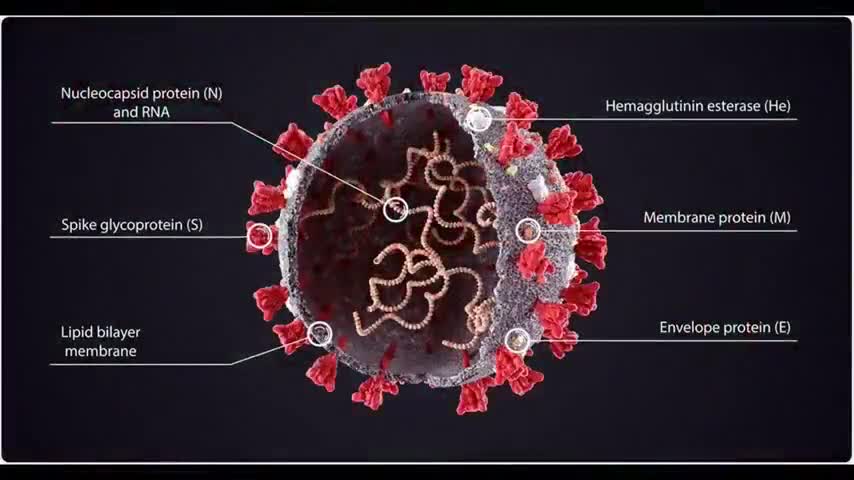 How the Mark of the Beast destroys the Name of God that is transcribed upon your DNA