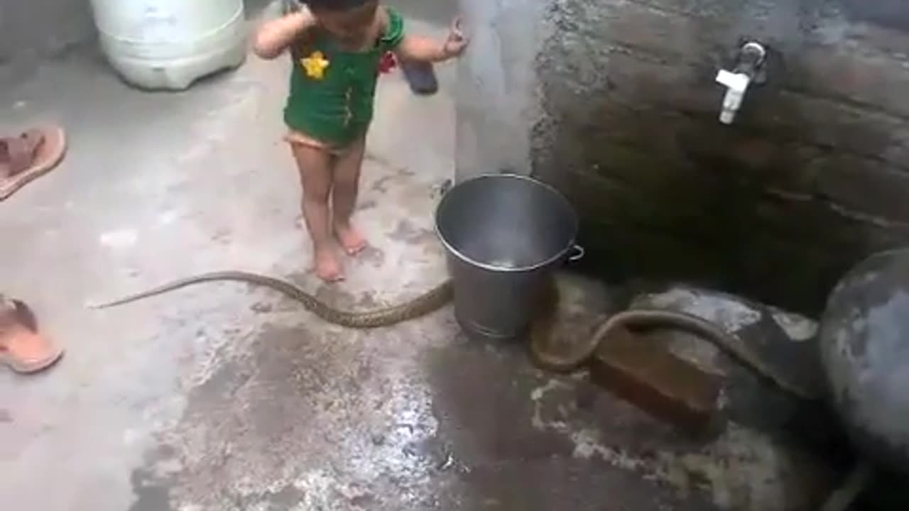 kids can anything funny