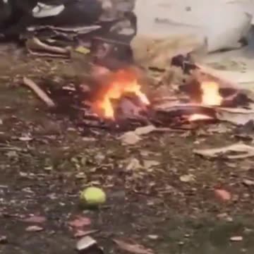 Among the 62 passengers and crew who died in the tragic Brazil flight that plummeted from the sky...