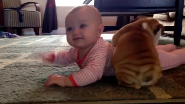 Cutie loves pup