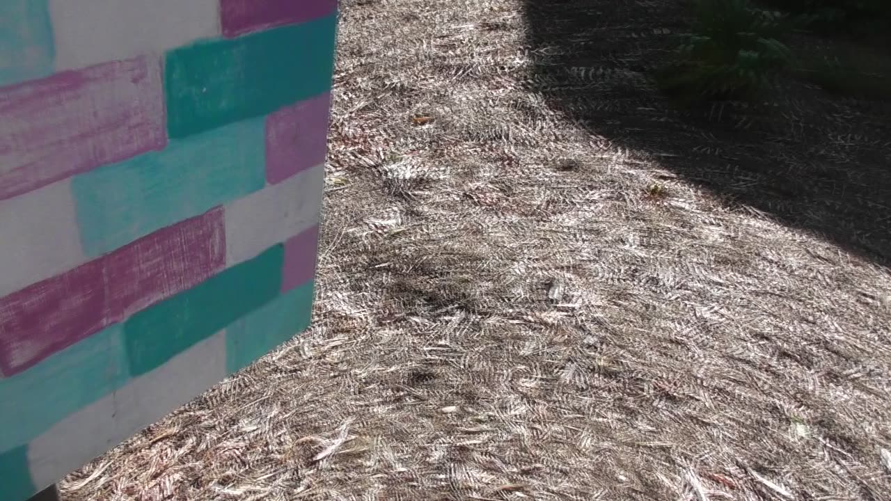 Zeitgeist Movement, Venus Project, DVDs and flyers in the street library. (Part 7)