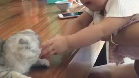 baby speaking meow with cat