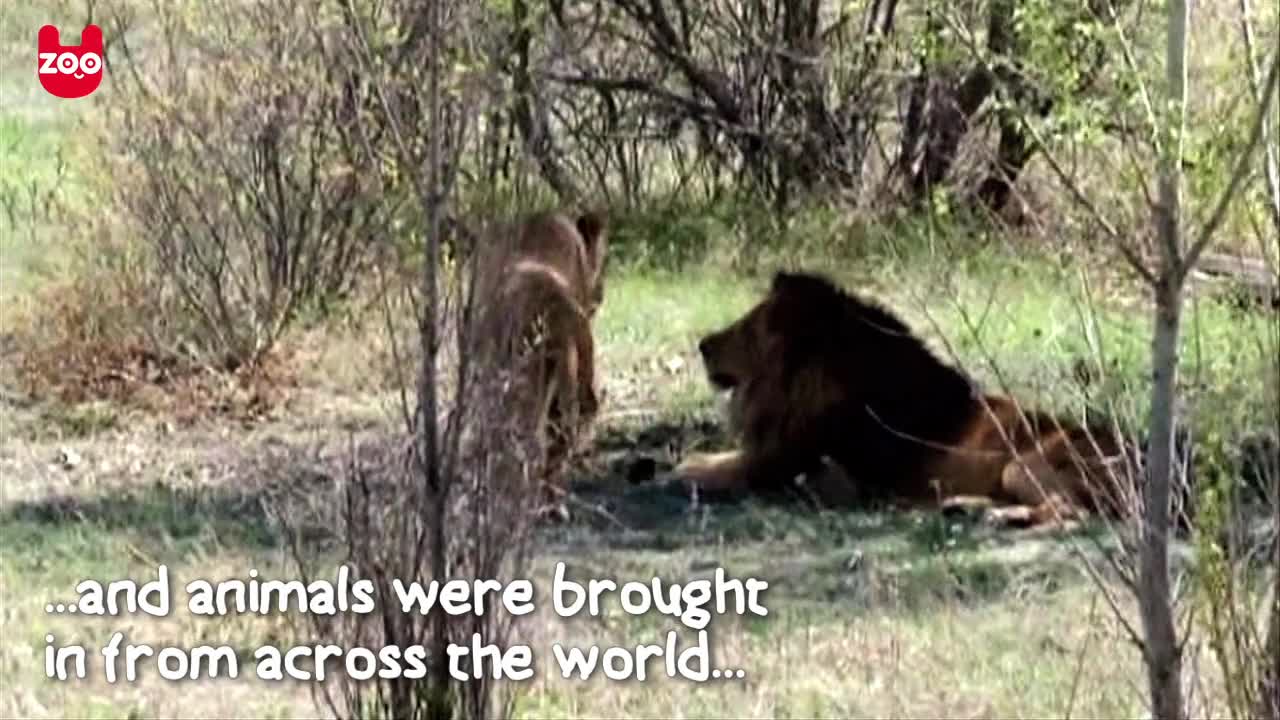 Ukrainian Safari Park