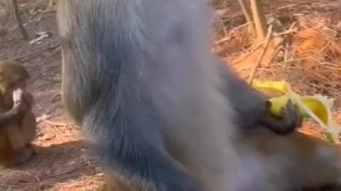 Идущий к реке...😎