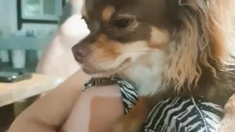 She is sleepy 💤 let her sleep