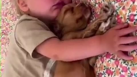 This is the best thing I have ever seen 🥰🥰🥰