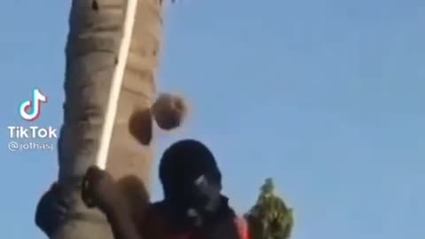 instant brain reset