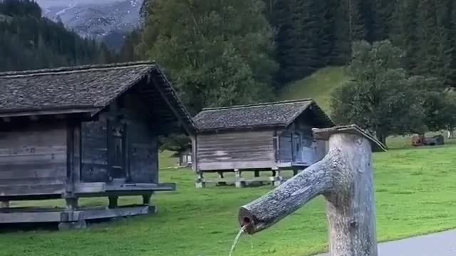 Dog water break in switzerland