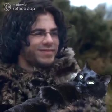 The Cat Montage! 🐈