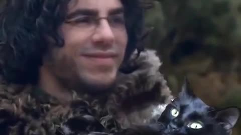 The Cat Montage! 🐈