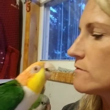 When quarantine is over and wanna just kiss