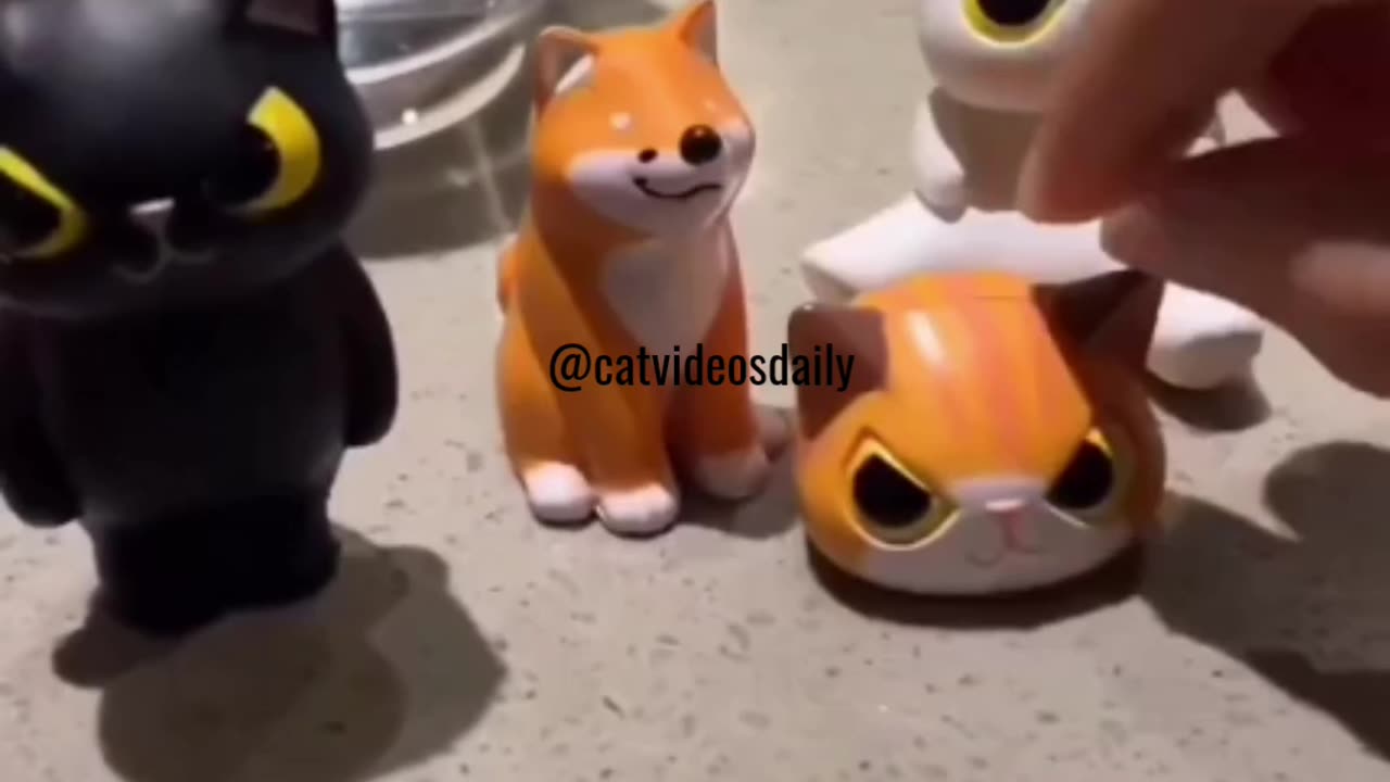 Cat Toys