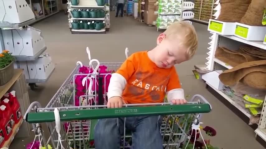 Funny clips mdhk
