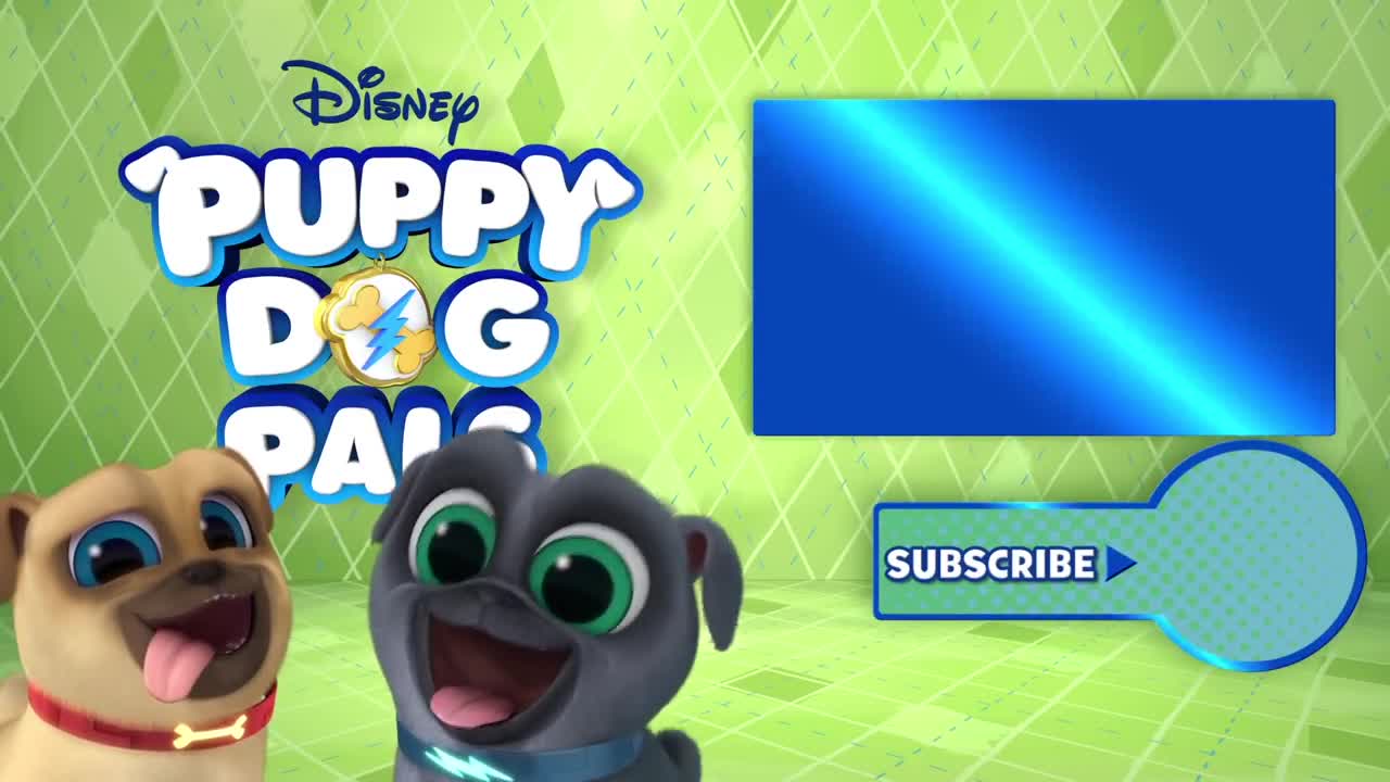 Puppy dog plas Disney Junior