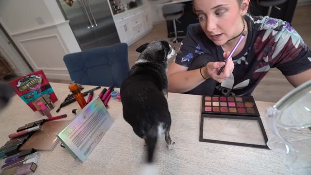 My Dogs Pick My Makeup