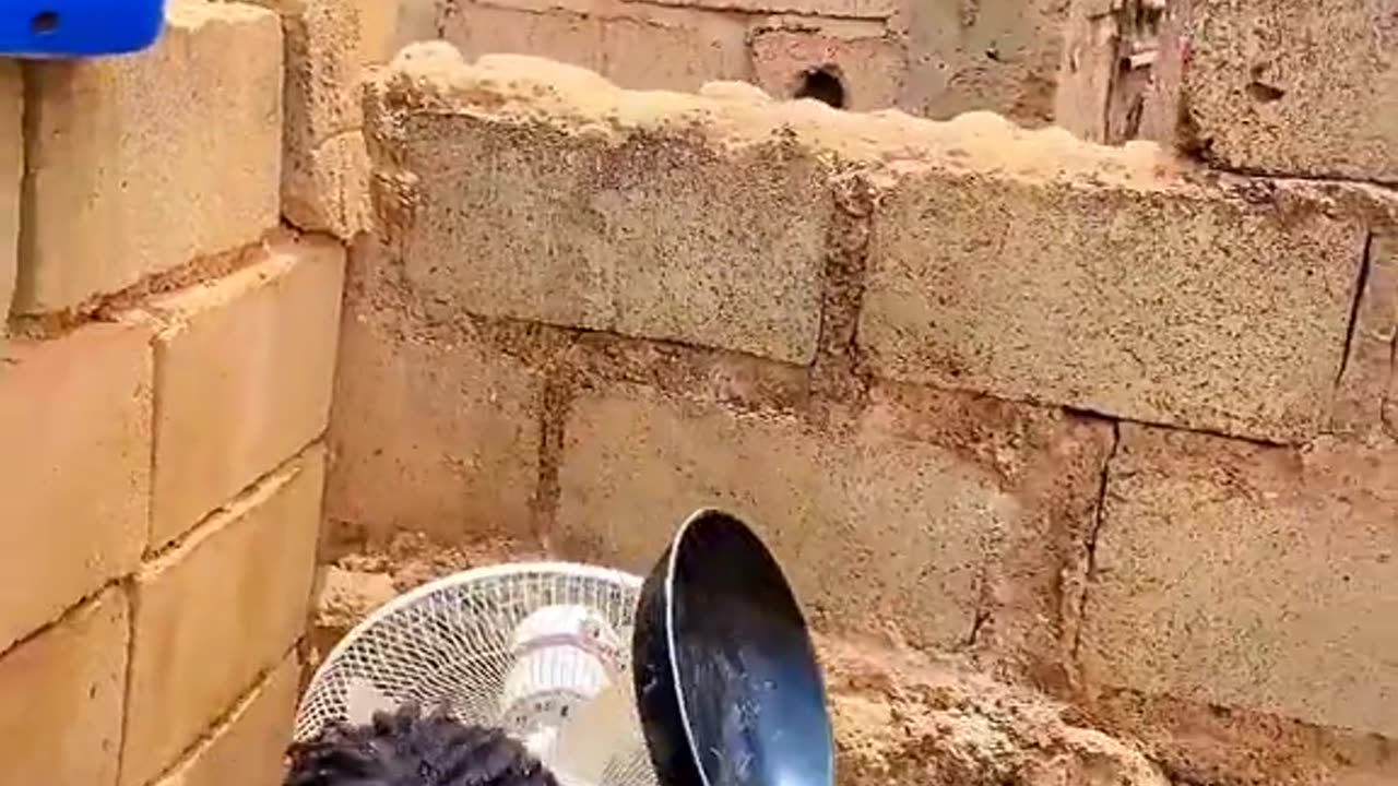 #viral #fun #funny #trends