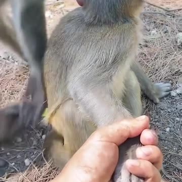 You're not my mother