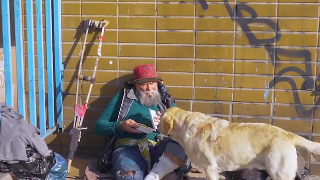 A devoted dog shares biscuits with his homeless owner