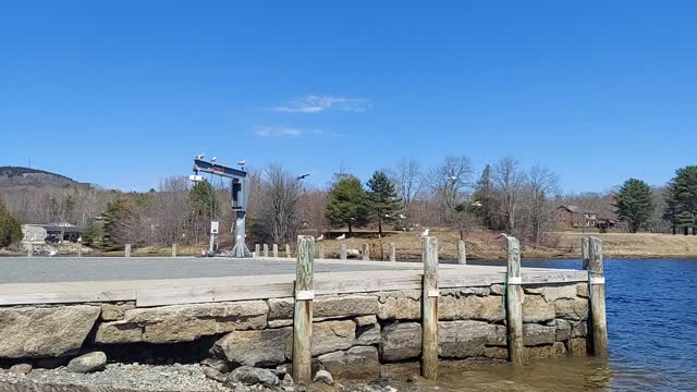 Seagulls Leaving the Town Launch - Maine