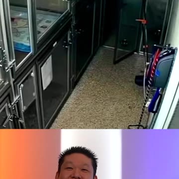 Dog Escapes Kennel And Tries To Free It's Friends