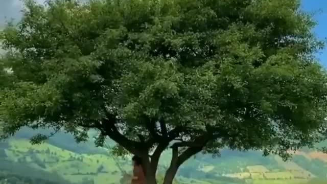 Relax in the beautiful nature with swing rides