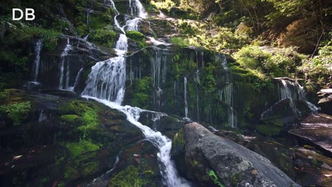 Amazon Rainforest/ Amazing Waterfalls very beautiful /15 Most Beautiful Brazil Waterfalls