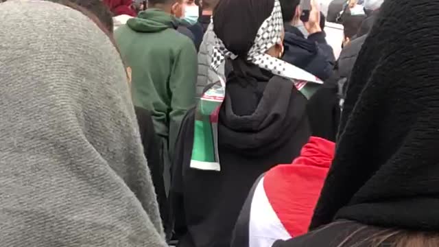 Palestine Protesting in Belgium