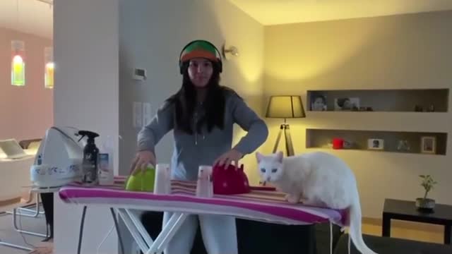 DJ CAT 😂😂