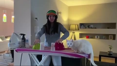 DJ CAT 😂😂