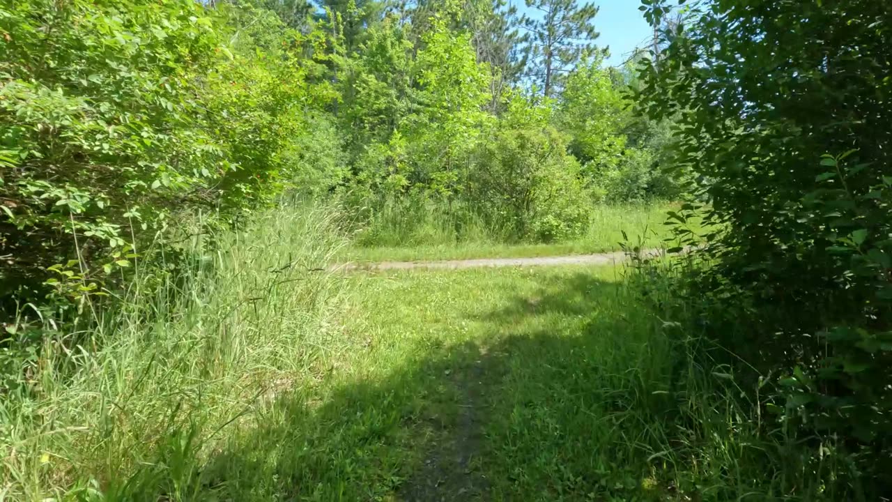 🍋‍🟩 Hiking To Lime Kiln Trails & Cleaning Bronson Park☀️🌿 Summer Edition In Ottawa 🍁 Canada 🌴