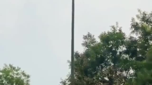 UNBELIEVABLE SKILL! MUST SEE!