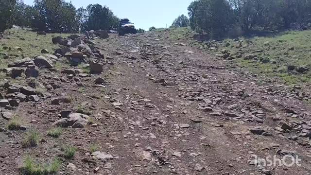 Kathryn playing in the trail