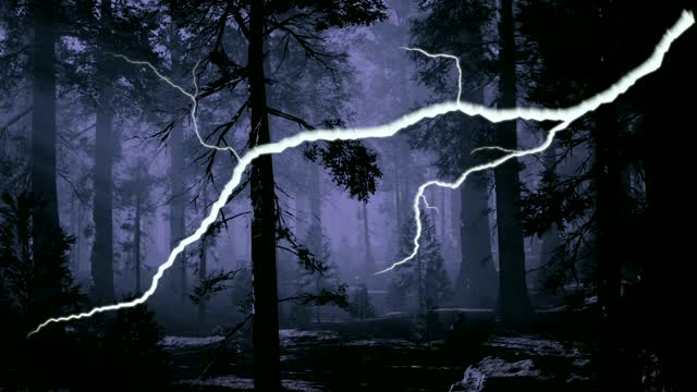 Weirdling Woods: Now Available Everywhere