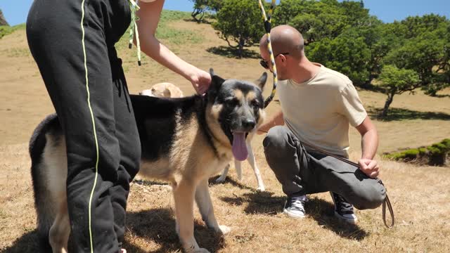 A couple pet their dog