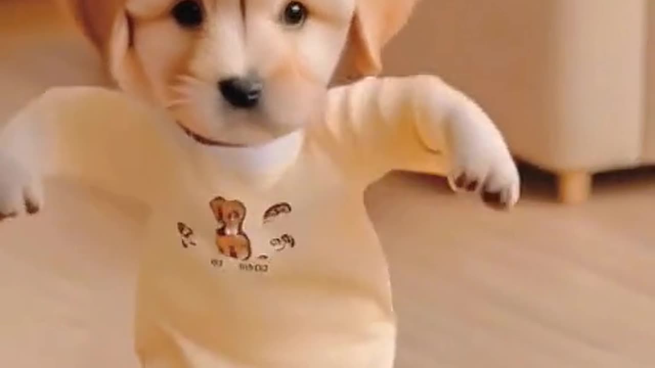 Dancing Puppy